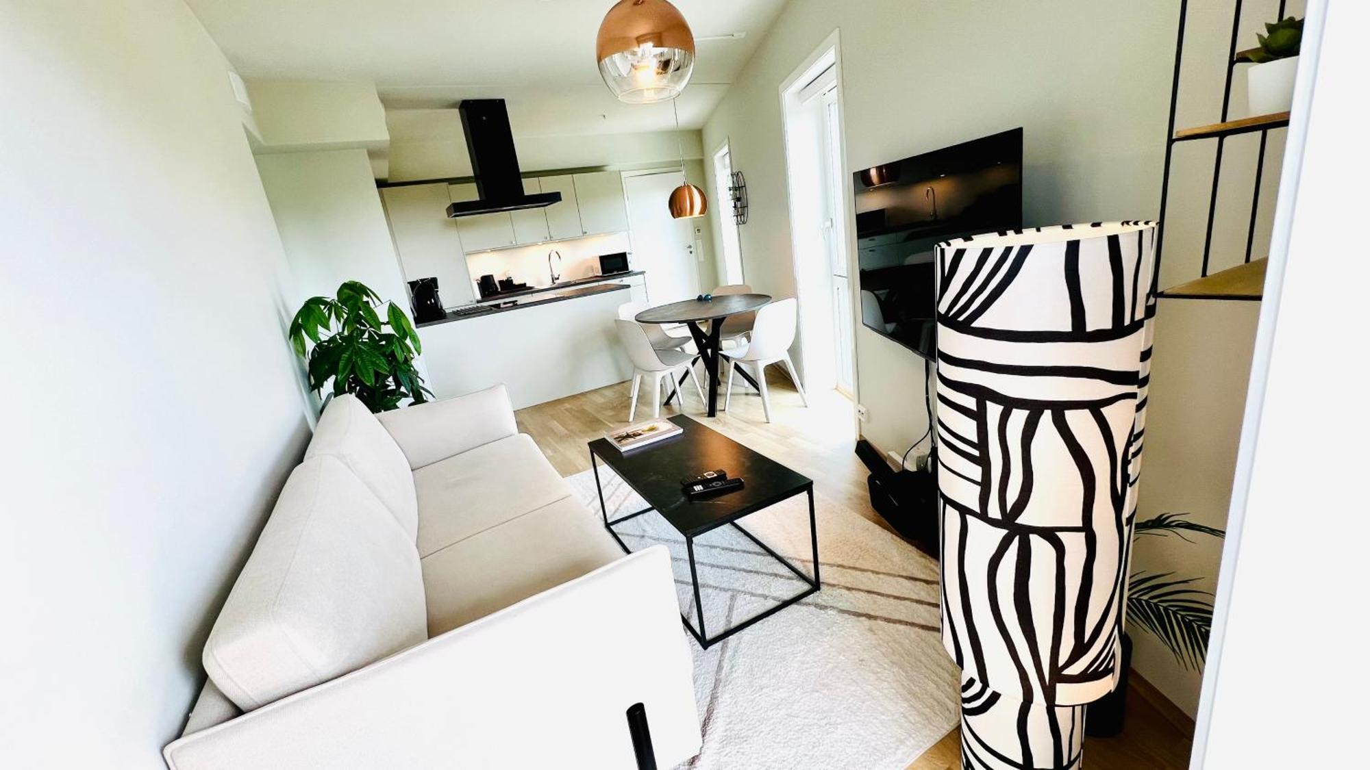 Penthouse Apartment